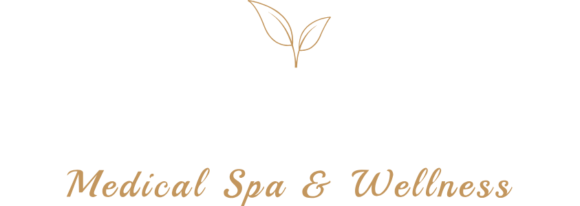 Skin Artistry Clinic — Medical Spa & Wellness